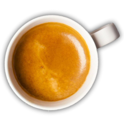 Drury Tea & Coffee - Gourmet Coffees